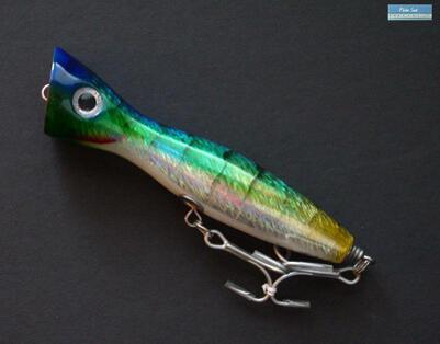 Fishing Popper Sabalo (SBL-Blue lagoon) SABALO Poppers - Saltwater Topwater  Lures, Saltwater Surface Lures : PECHE SUD, Saltwater fishing tackles, jigging  lures, reels, rods